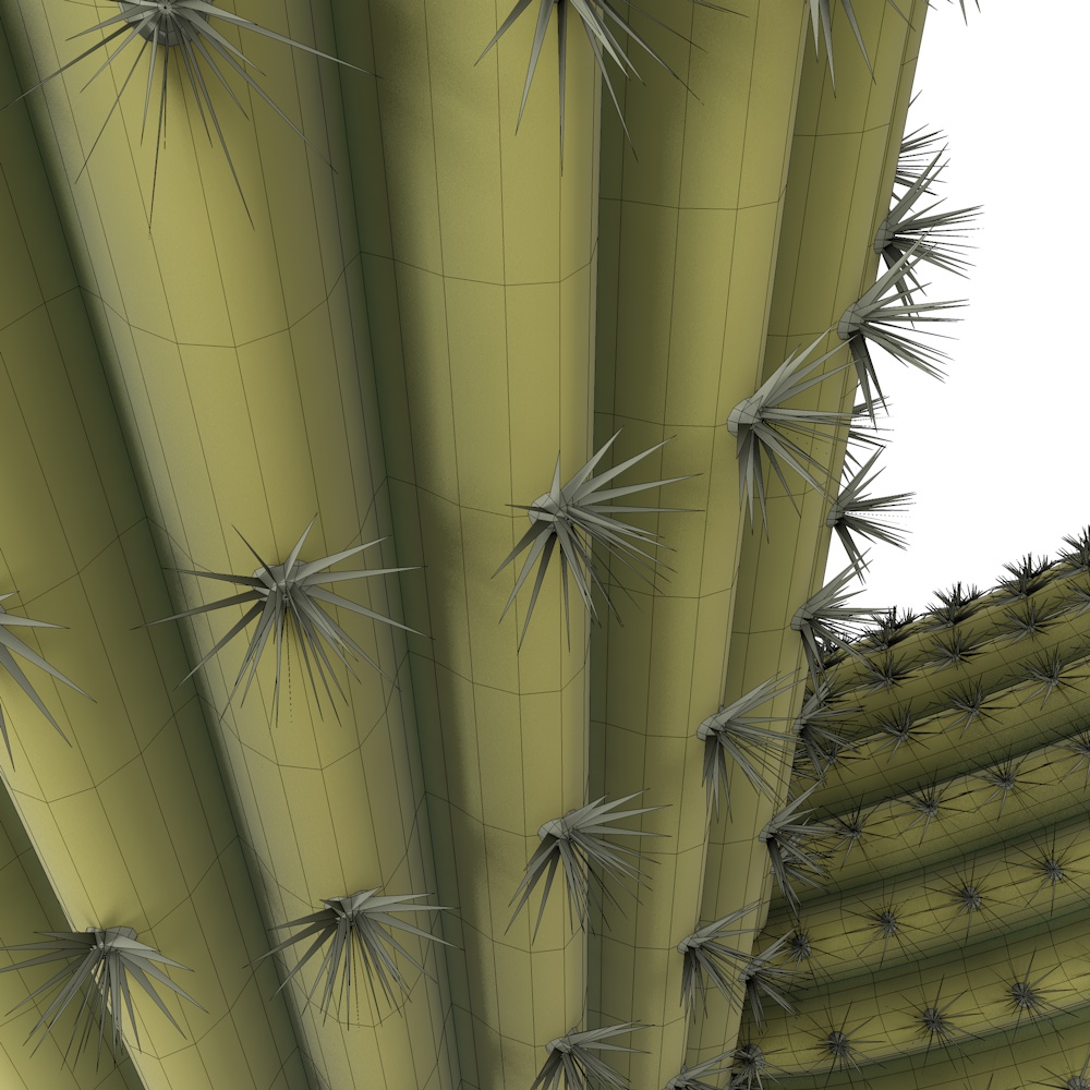 Cactus 3D model