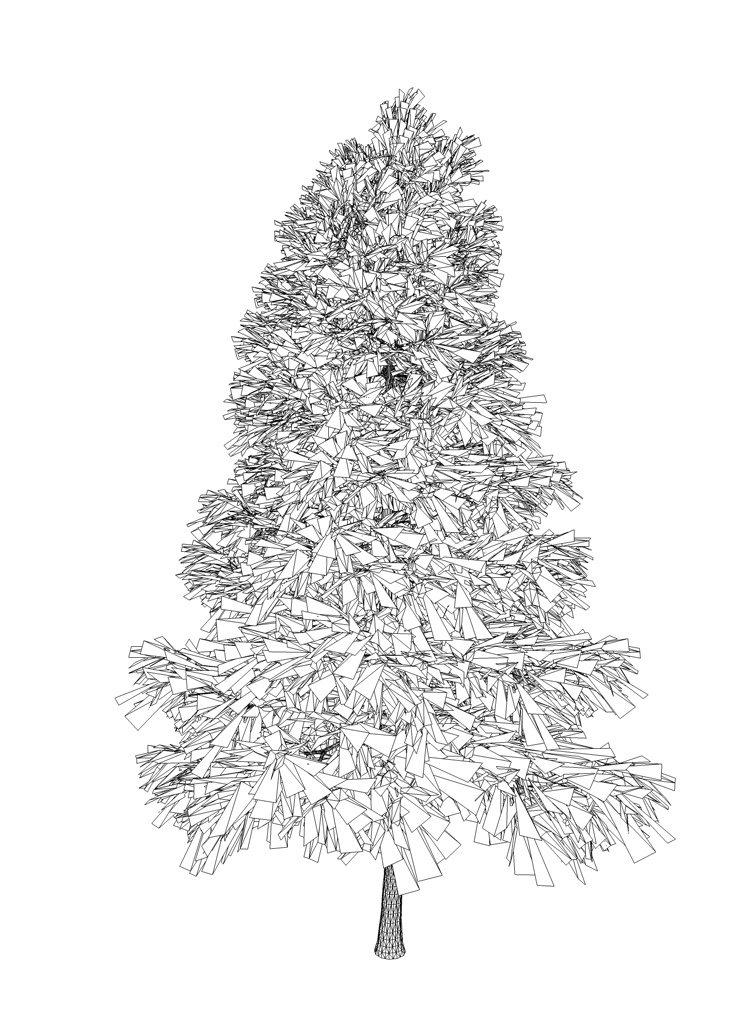 مدل Pinus Sylvestris 3D