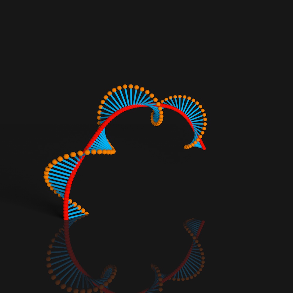 Scientific Helix Rig 3D model DNA