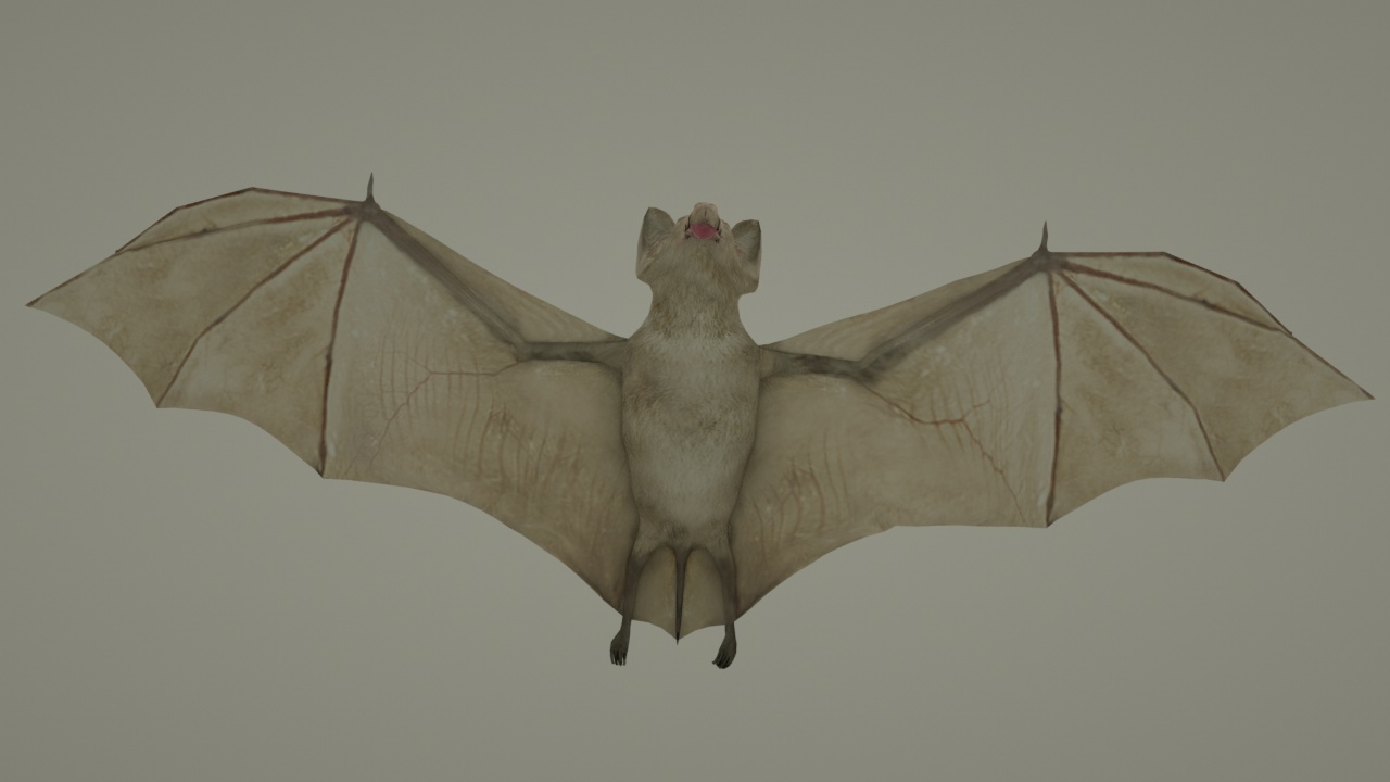Animated Bat 3d model Octane renderer