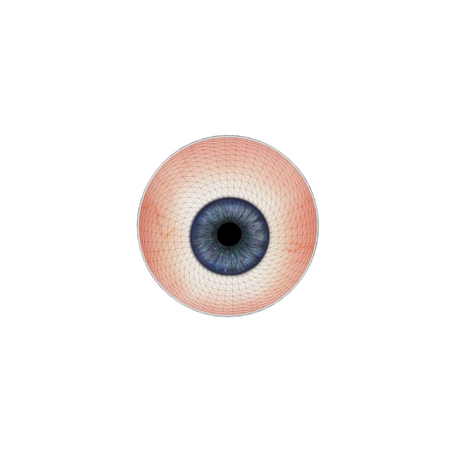 Living-human Eyeball 3d model
