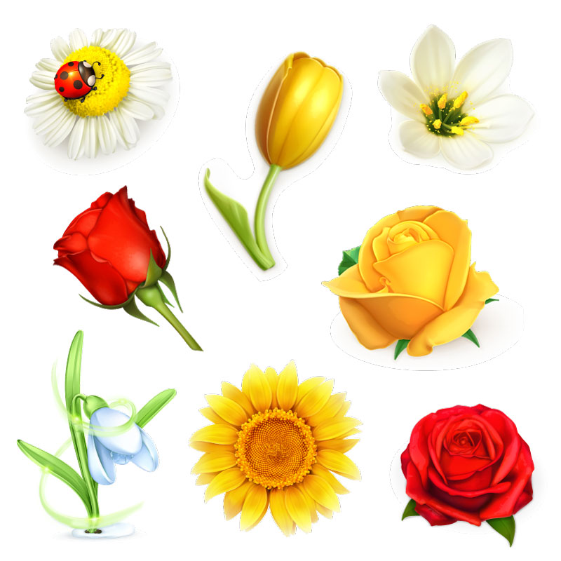 8 Blumen photorealistischer grafischer AI-Vektor