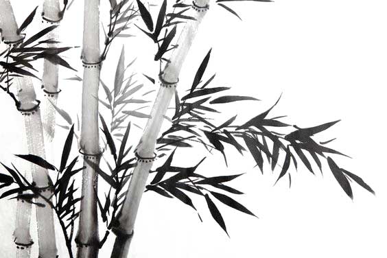Bambù cinese di inchiostro e lavaggio grafico