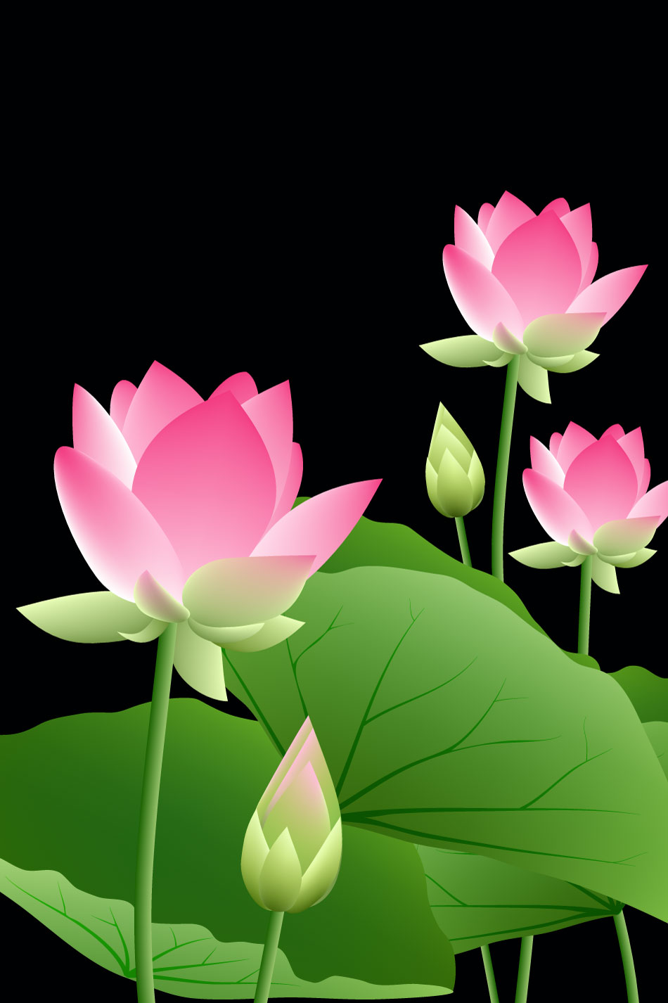 Pintura de tinta china de Lotus y patrones de hojas de Lotus