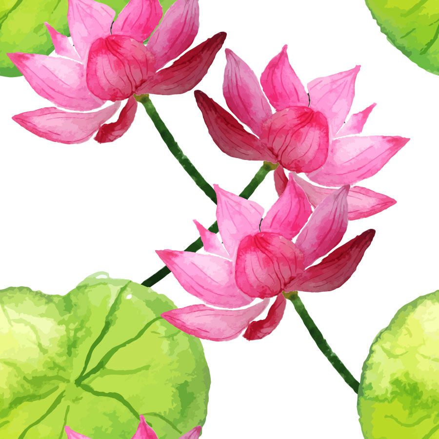 Kinesisk blekkmaling av Lotus og Lotus Leaf Patterns