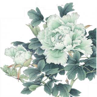 Flores de peonía de estilo de pintura china con riqueza y honor