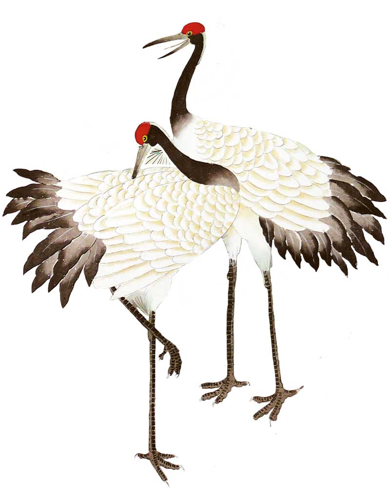 Chinese Classical Elements of Crane and Red-crowned Crane