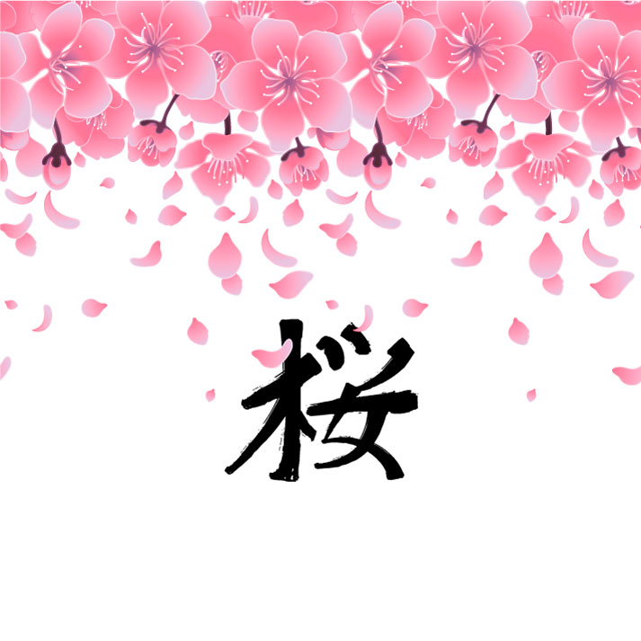 日式樱花背景31