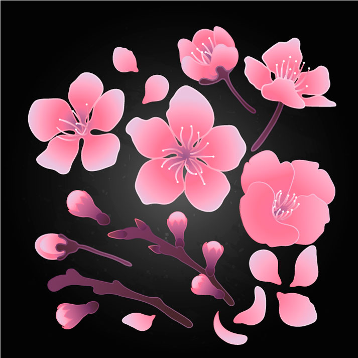 Japanese Style Cherry Blossom Background 57