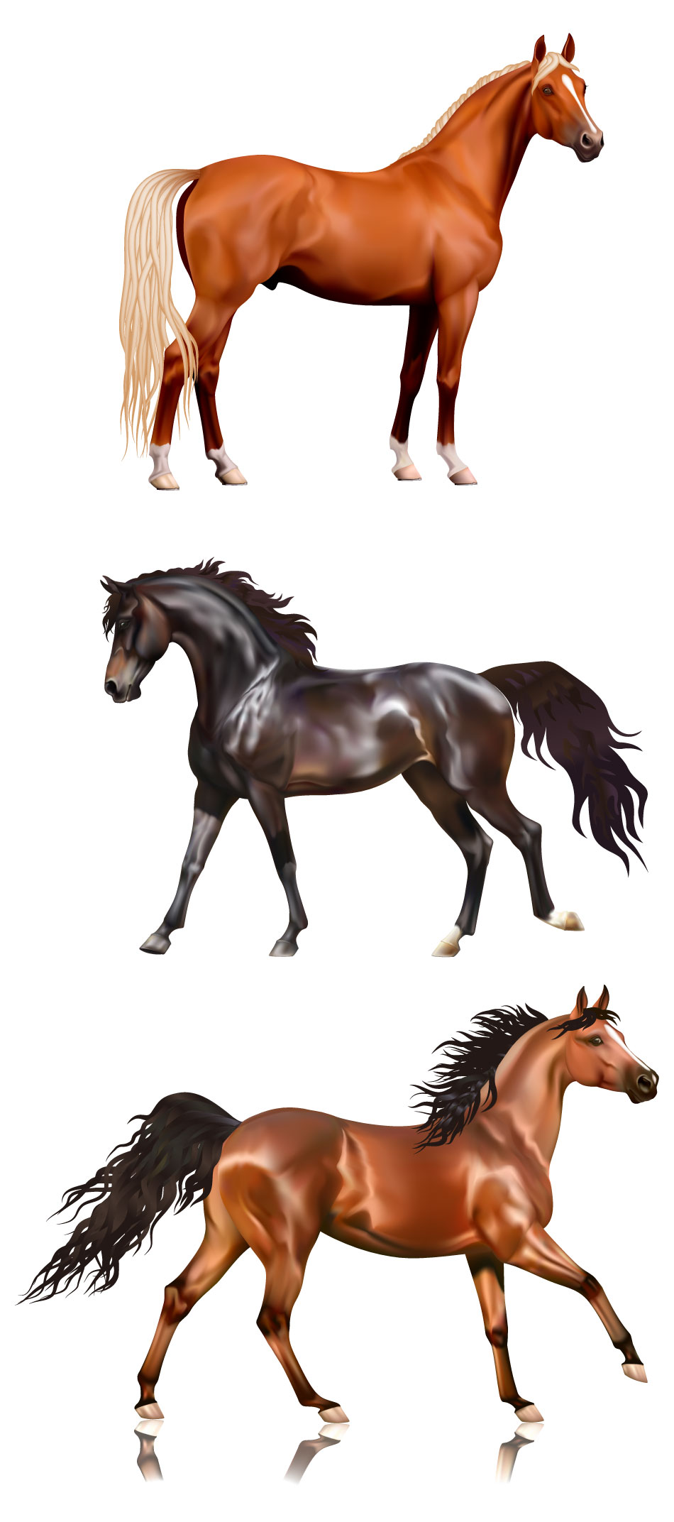 Животные Лошадь Фотореалистичная Графика AI Вектор