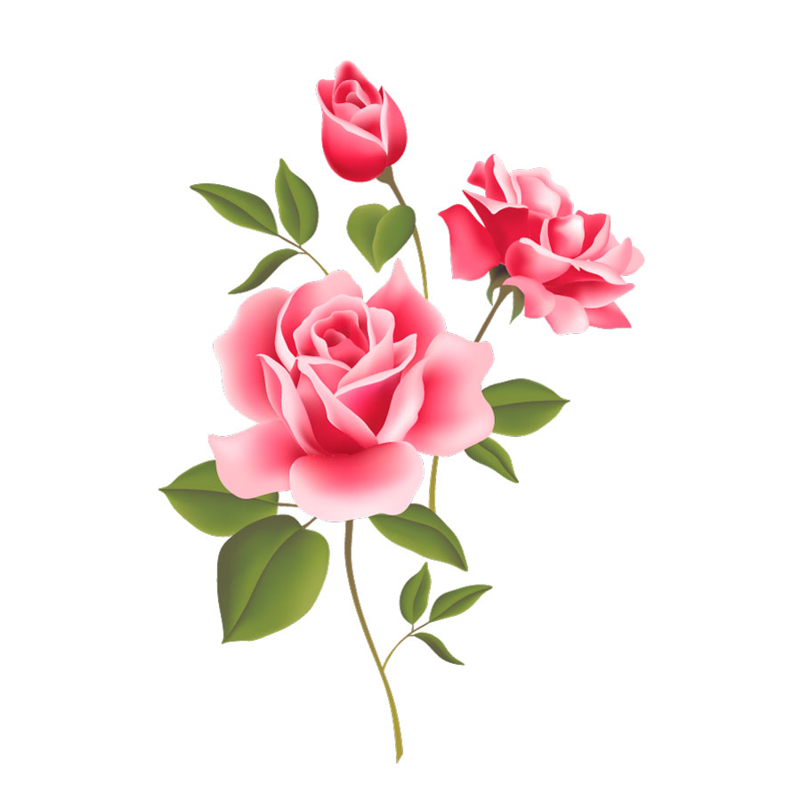 Chinese Rose Flower Graphic AI Vector