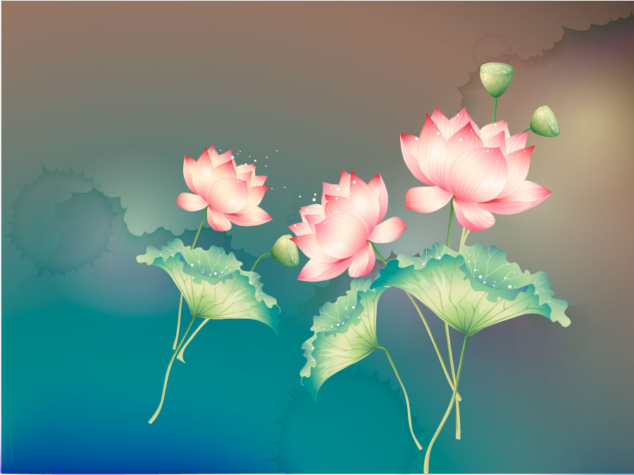 Vettore di AI del seme di Lotus della pittura di stile cinese