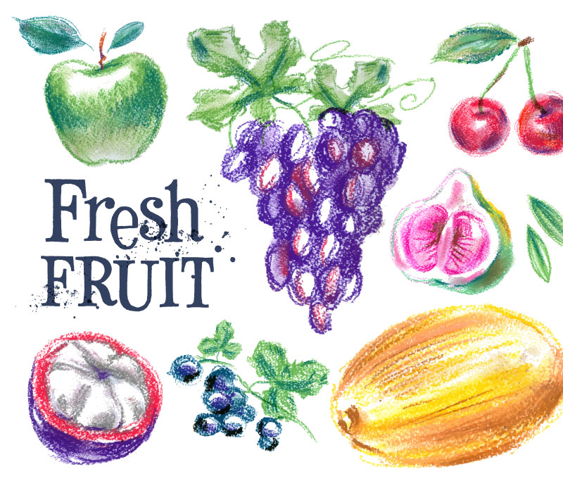 Vecteur de fruits dessinés à la main au crayon de couleur