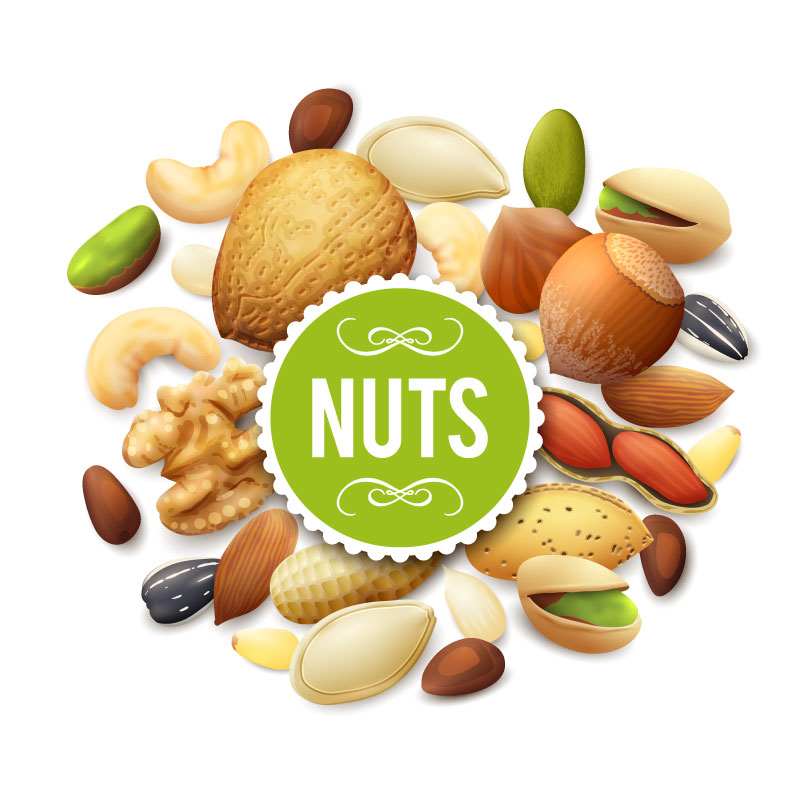 Condiment and Nuts graphic vector