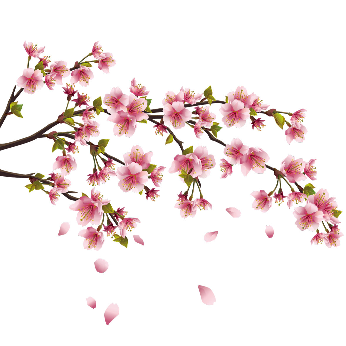 Fleurs Peach Blossom Graphic Elements AI Vector