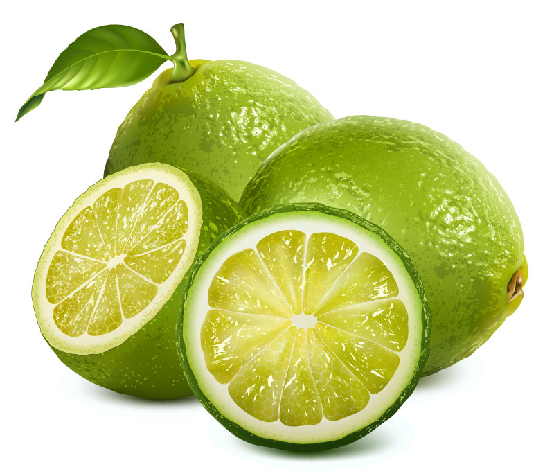 الليمون الأخضر تصميم الجرافيك الواقعي AI Vector
