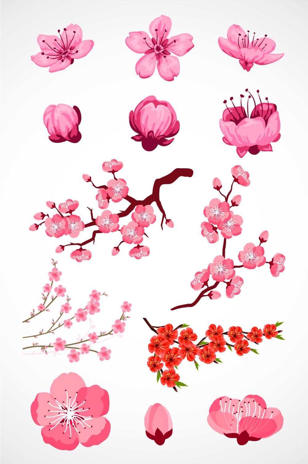 Hand Drawing Peach Blossoms Graphic AI Vector