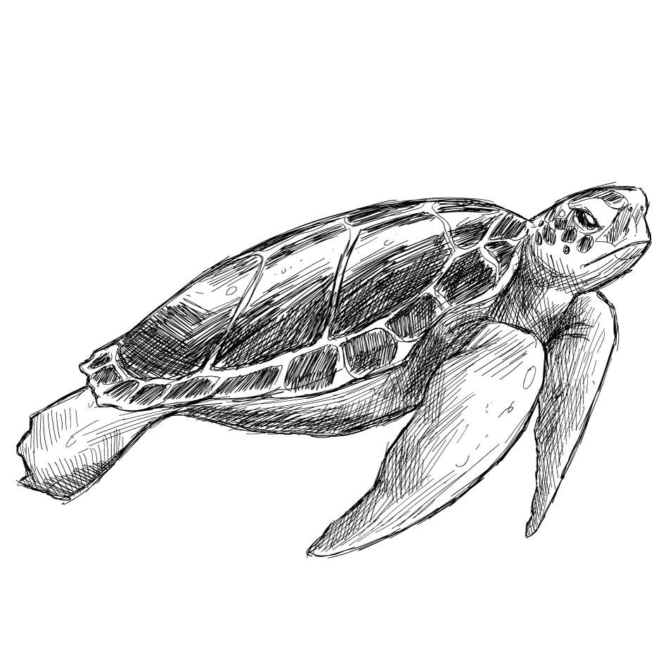 Handgeschilderde schildpad grafisch ontwerp AI Vector