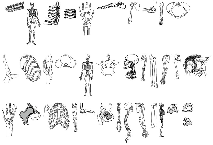 人的骨骼图形AI矢量