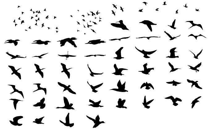Muchos pájaros voladores siluetas vector ai