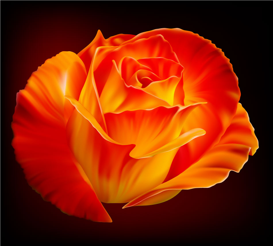 Opening Flower Photorealistic Graphic AI Vector