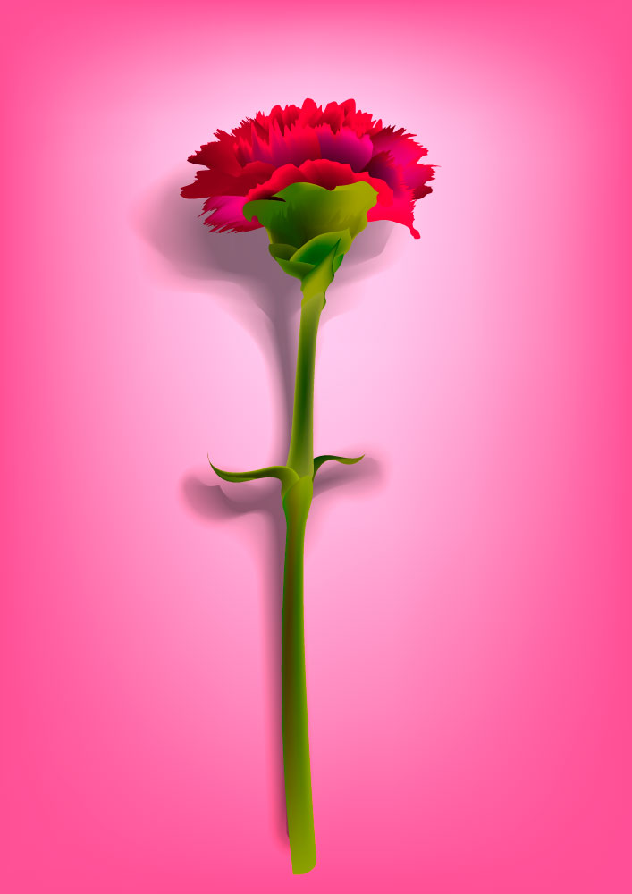 Fotorealistiske Flower nellik grafisk AI Vector