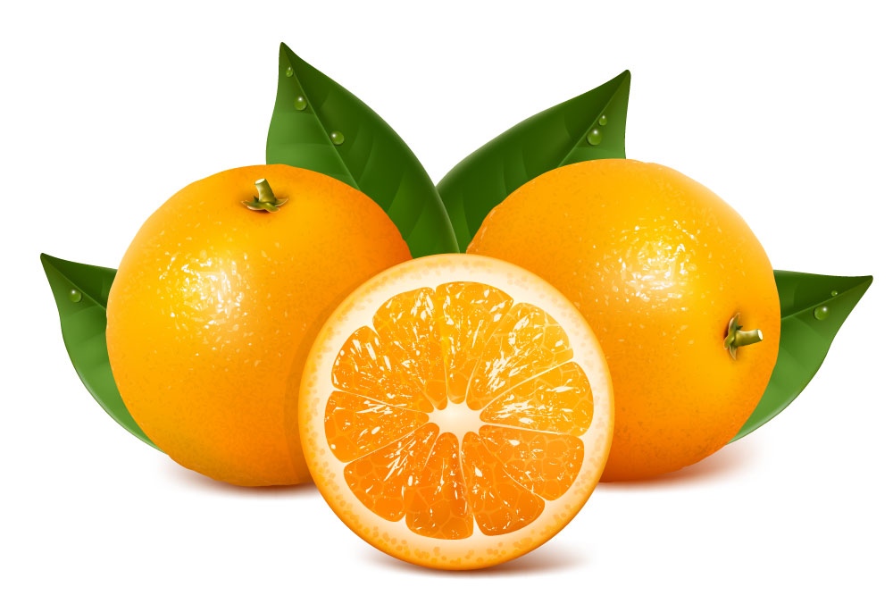 Fotorrealista frutas naranjas elementos gráficos AI Vector