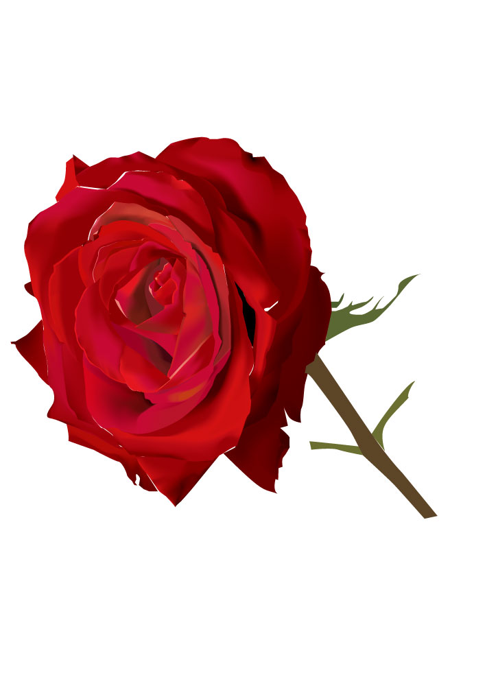 照片级逼真红色玫瑰图形AI矢量