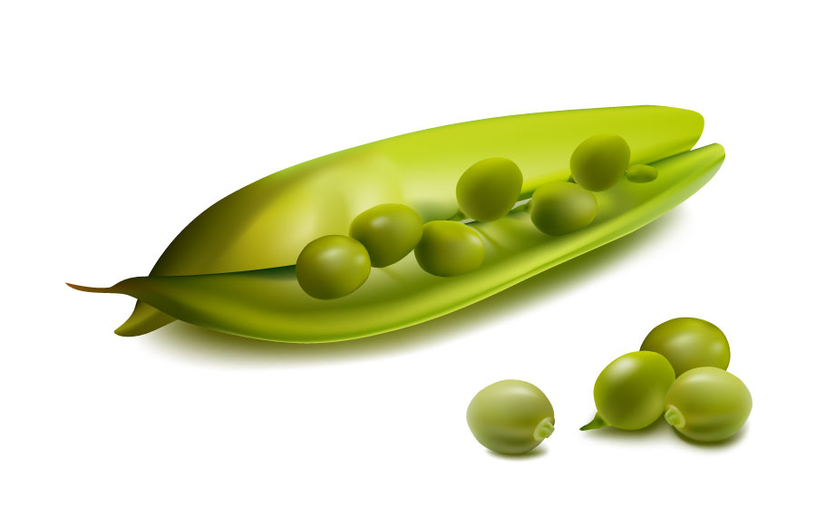 写実的な野菜エンドウ豆グラフィックAIベクトル