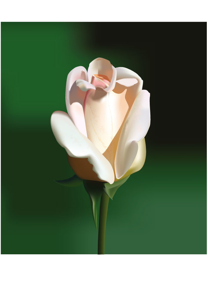 الوردة البيضاء الواقعية الرسوم البيانية AI Vector