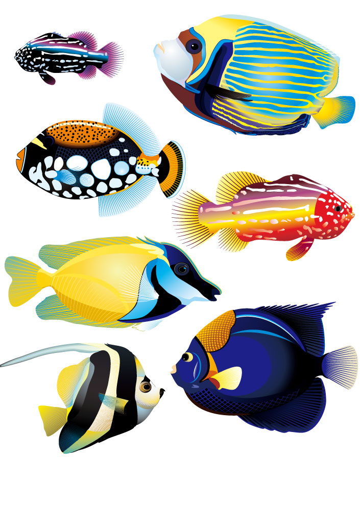 مخلوقات البحر ، أسماك ، رسوميات واقعية لمنظمة العفو الدولية