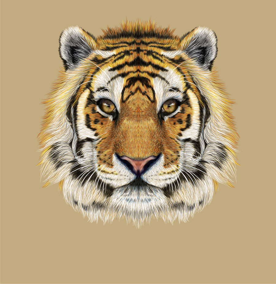 Tiger Face fotorealistico grafica AI vettoriale