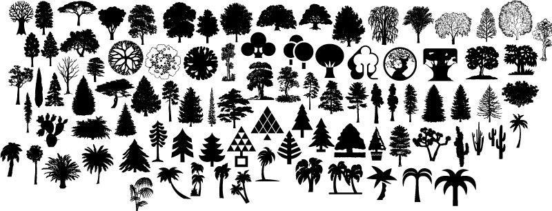 Bäume Silhouetten AI Vektor