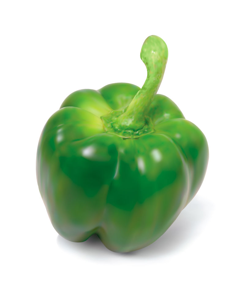 Vektor-Gemüse-grüner Pfeffer Photorealistic Grafikdesign-AI