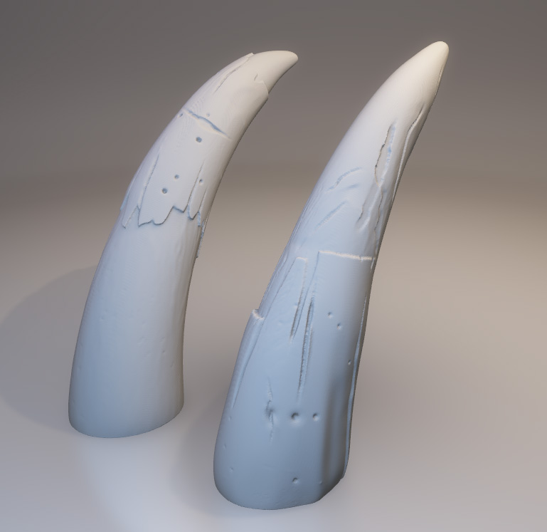 Kılıç dişli kaplan diş 3d baskı modeli