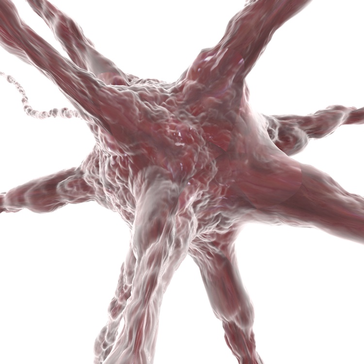 Organik Hücre 3d Modeli nöron nöral sinir merkezi fiber