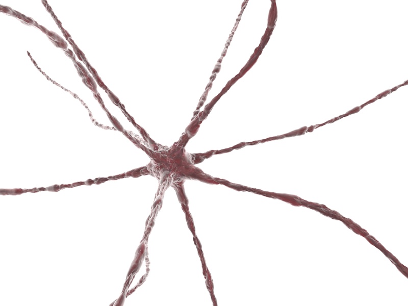 Cellula biologica Modello 3d neurone neurale centro nervo fibra