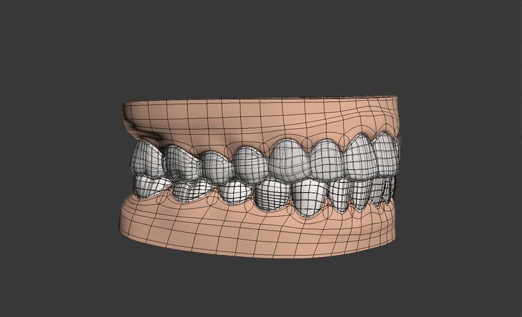 Szimuláció fogsor felnőtt fogak 3d modell 3D modell