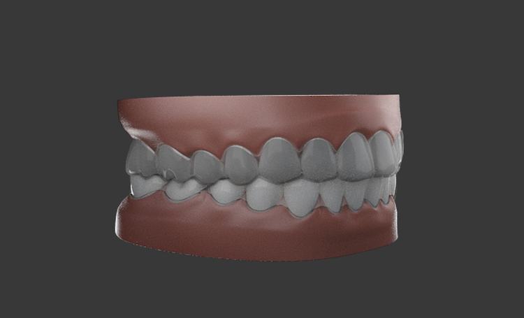 Simularea Denture Adult Dental 3D Model Model 3D