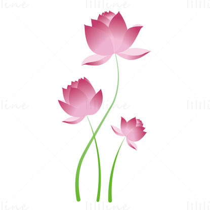 Lotus flower vector illustration