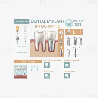 Vector de infografía dental