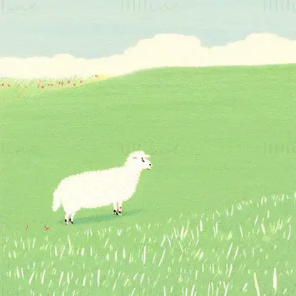 Sheep illustration on the grassland