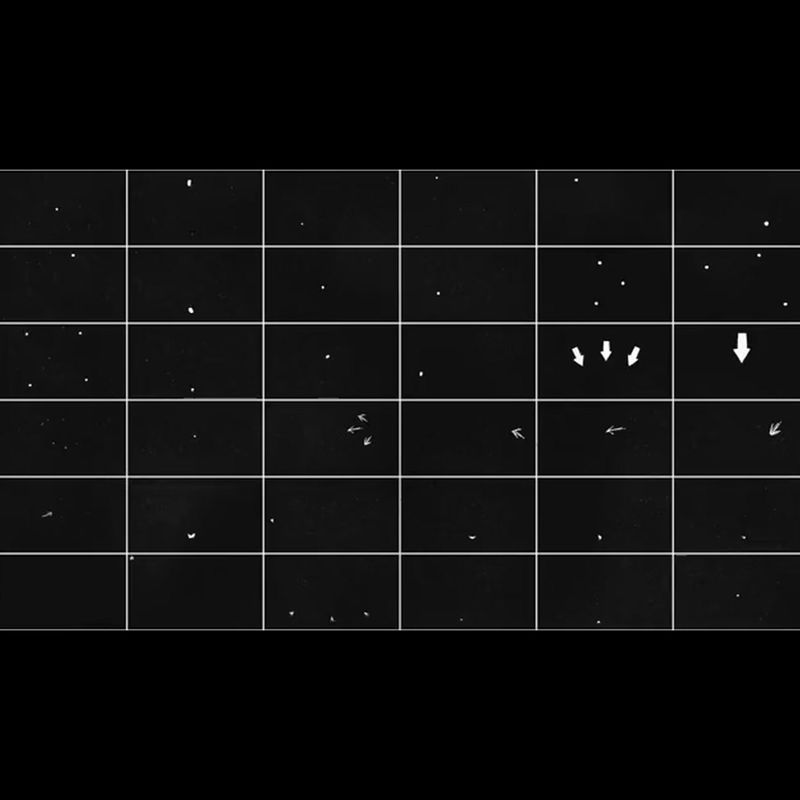 1000 цртаних елемената