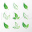 9 Green Leaves AI Vector