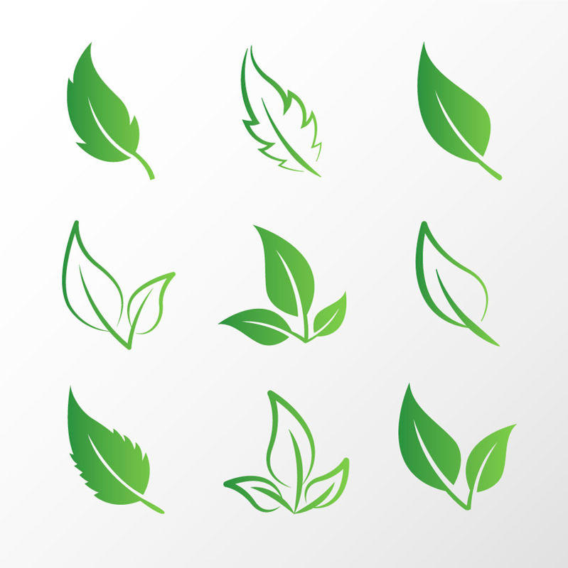 9 hojas verdes AI Vector