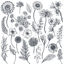 Hand Drawing Plant Leaves AI Vector