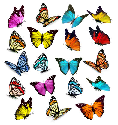 五颜六色的蝴蝶AI矢量