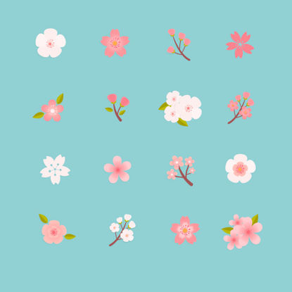 16 Japanese Sakura Icons AI Vector