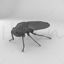 Black tipped leafhopper insect 3d model