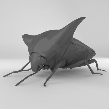 Alcimocoris japonensis日本羚椿象昆虫甲虫3D模型